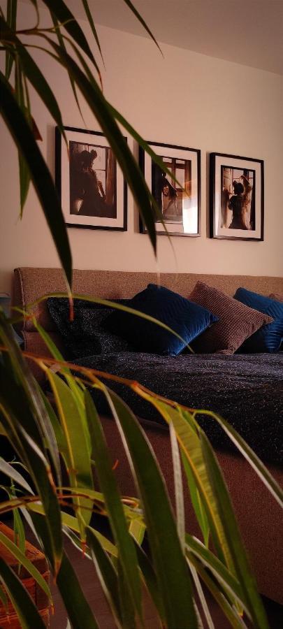 Moksha Slovenia Tolmin Ngoại thất bức ảnh