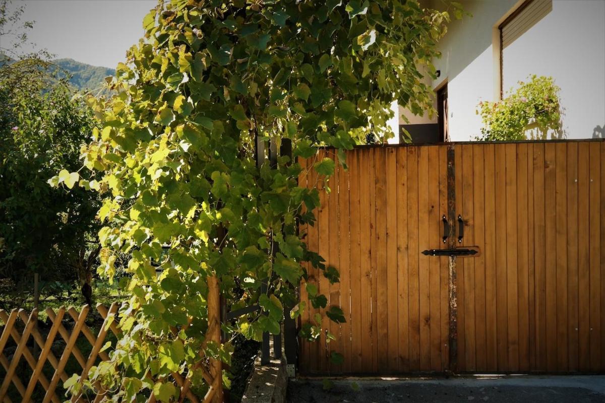 Moksha Slovenia Tolmin Ngoại thất bức ảnh