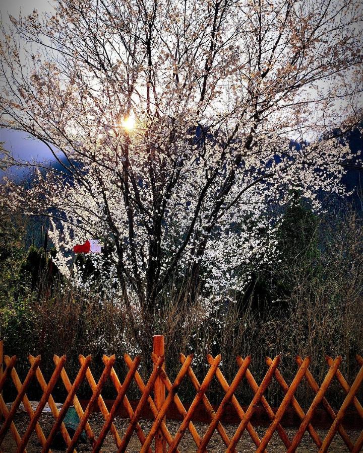 Moksha Slovenia Tolmin Ngoại thất bức ảnh