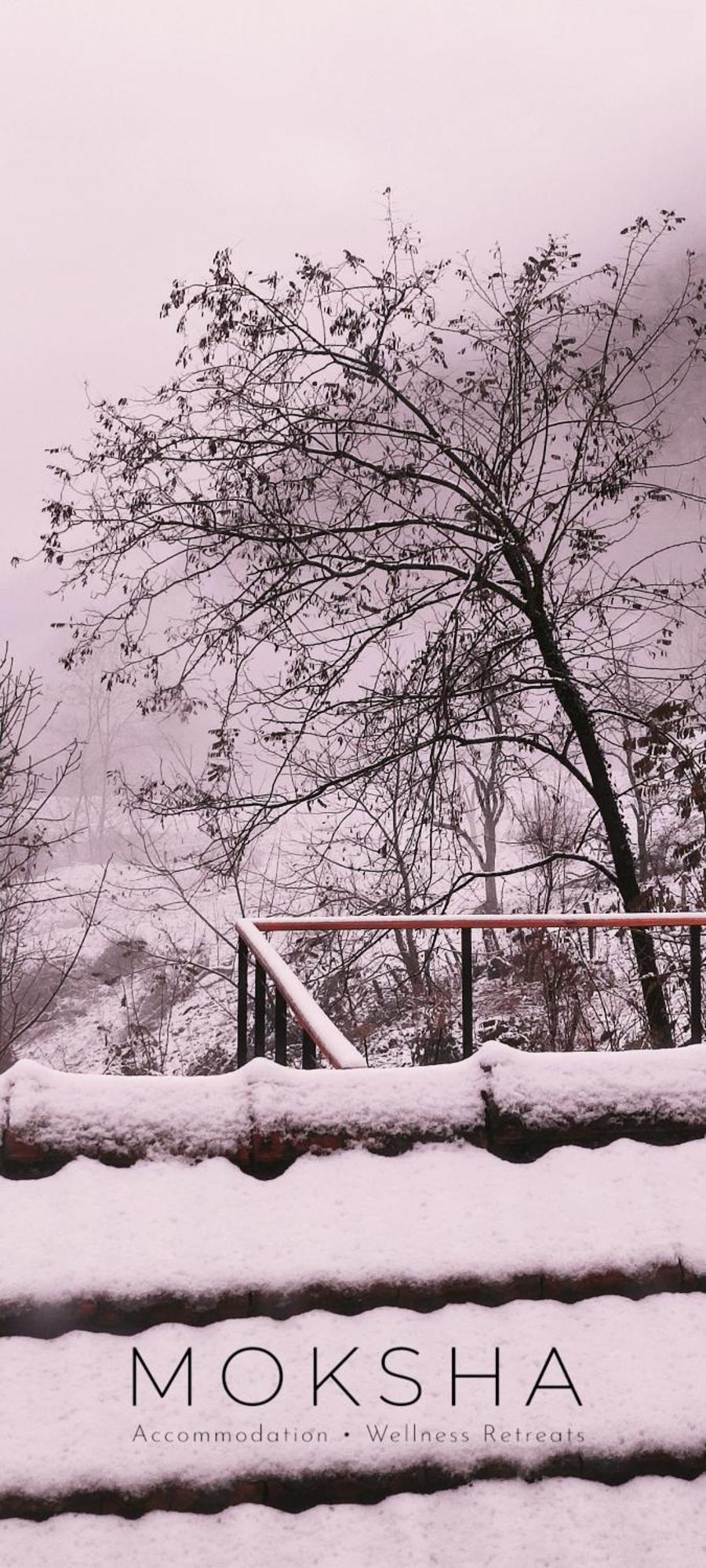 Moksha Slovenia Tolmin Ngoại thất bức ảnh